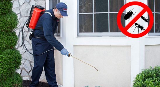 Küçükçekmece Akrep İlaçlama böcek ilaçlama ve haşere kontrolü — ilaclama-tr.com